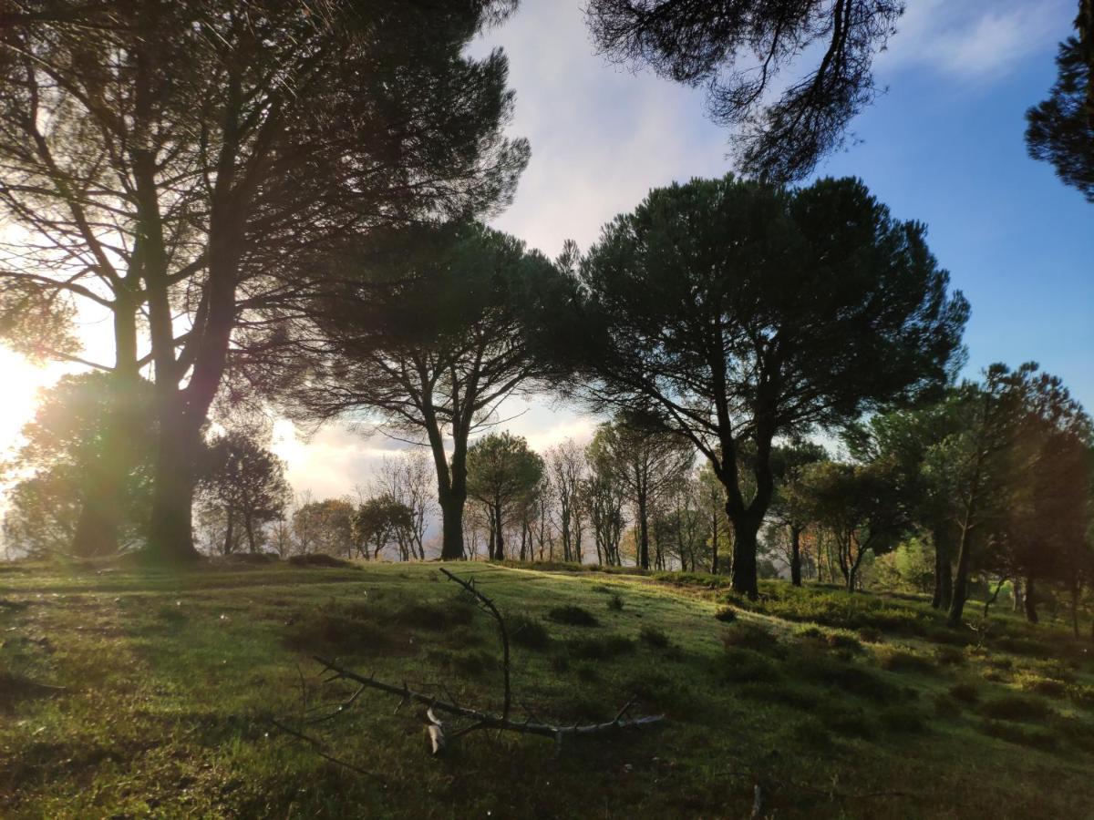 Casa Rural El Trepador Azul Cabeza la Vaca Zewnętrze zdjęcie